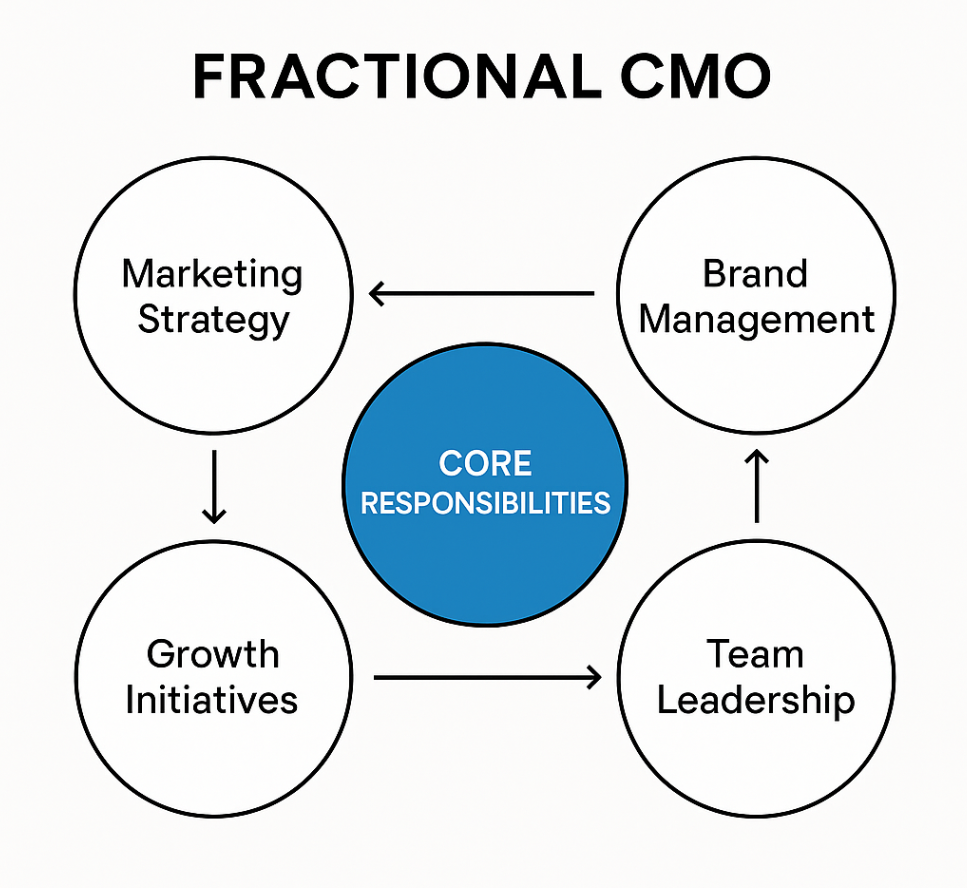A circular diagram titled "Fractional CMO" showing core responsibilities in the center. Surrounding the central blue circle labeled “Core Responsibilities” are four white circles labeled: “Marketing Strategy,” “Brand Management,” “Team Leadership,” and “Growth Initiatives.” Each outer circle is connected to the center with directional arrows, forming a continuous loop of strategic functions. The layout is clean, minimal, and uses high contrast for clarity.